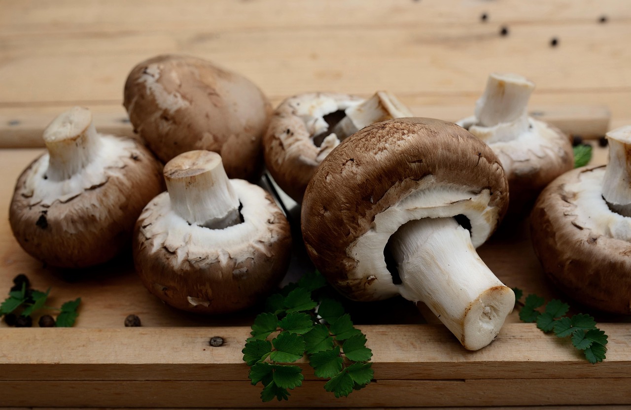 Mushrooms, edible mushrooms, vegetarian — 2025 Medicare Advantage Plans: Compare Your Options