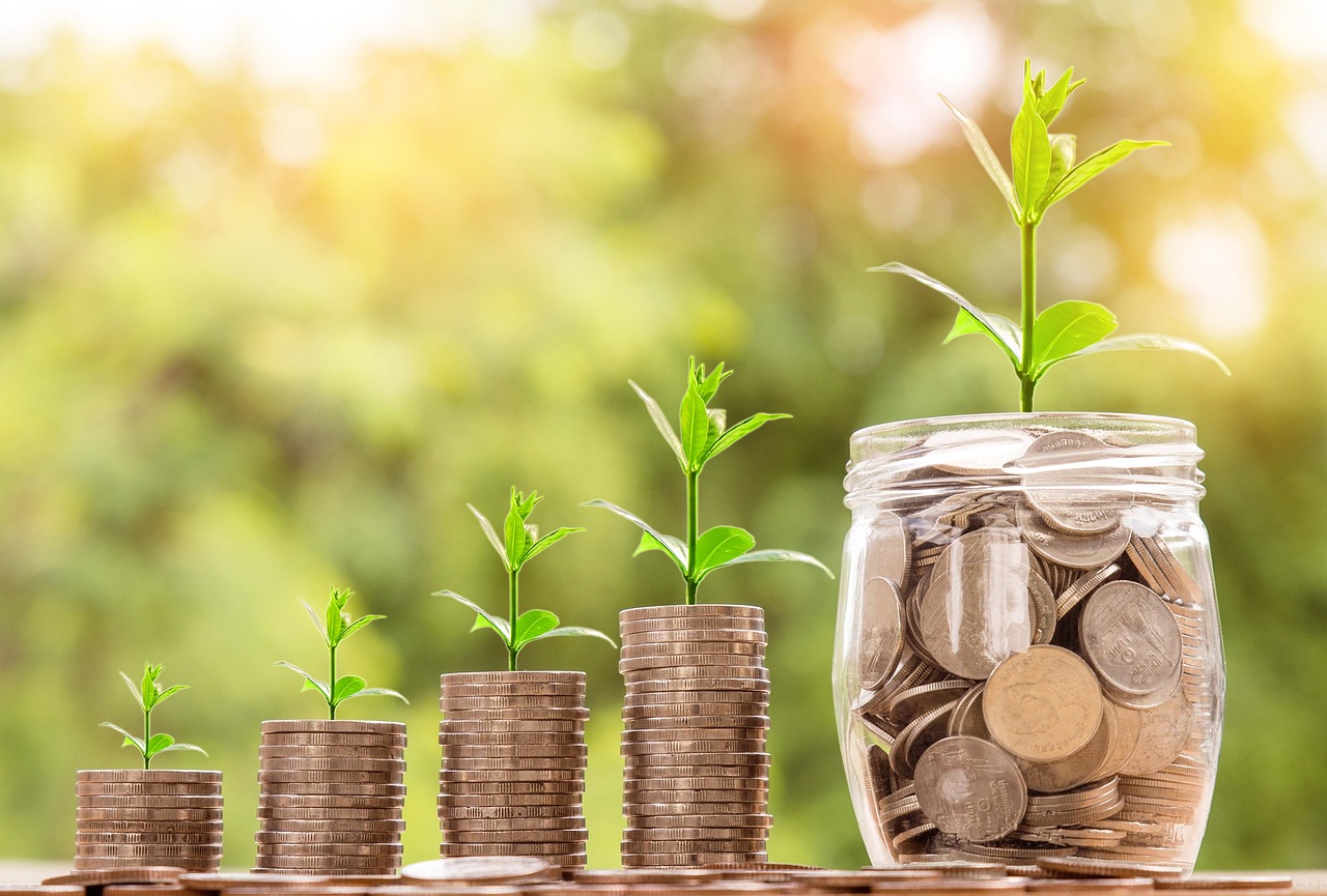 Money, coin, investment — Ayurmana: Leading the Way in the Best Ayurvedic Treatments in India