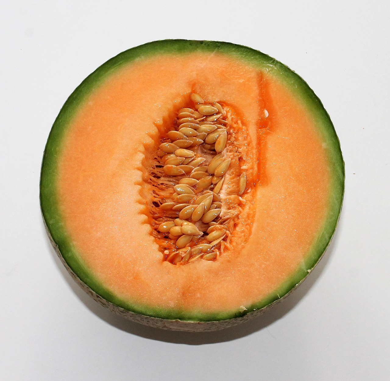 Melon, food, fruit — Discover Neurofeedback Therapy Near You: Unlocking Mental Wellness