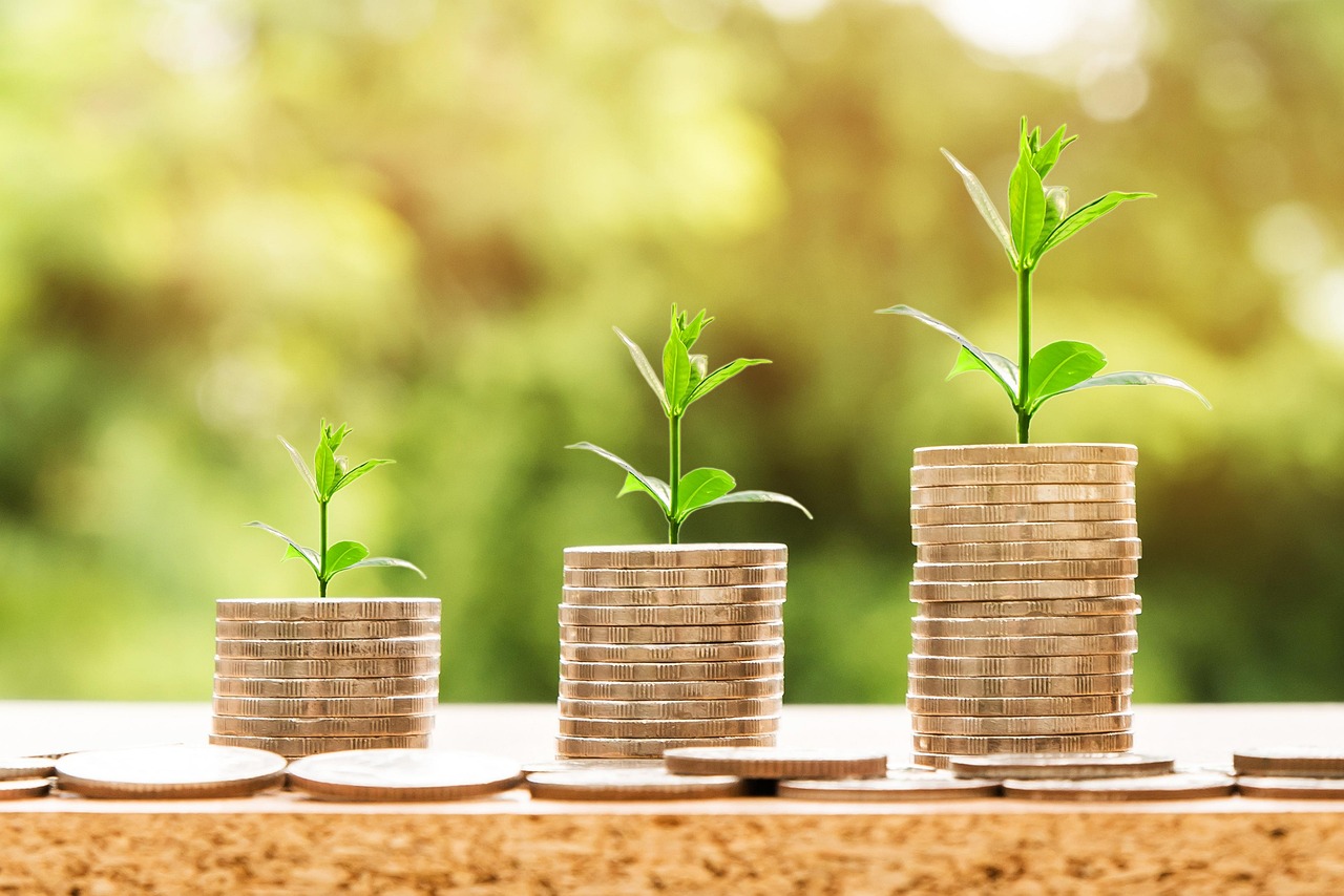 Money, profit, finance — Steps to Finding an Effective Alcohol Rehab Program in Birmingham, AL