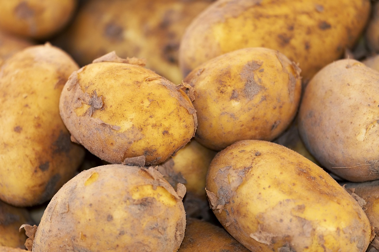 Potato, new harvest, nature — Understanding the Impact of Substance Abuse in Hiram, Georgia