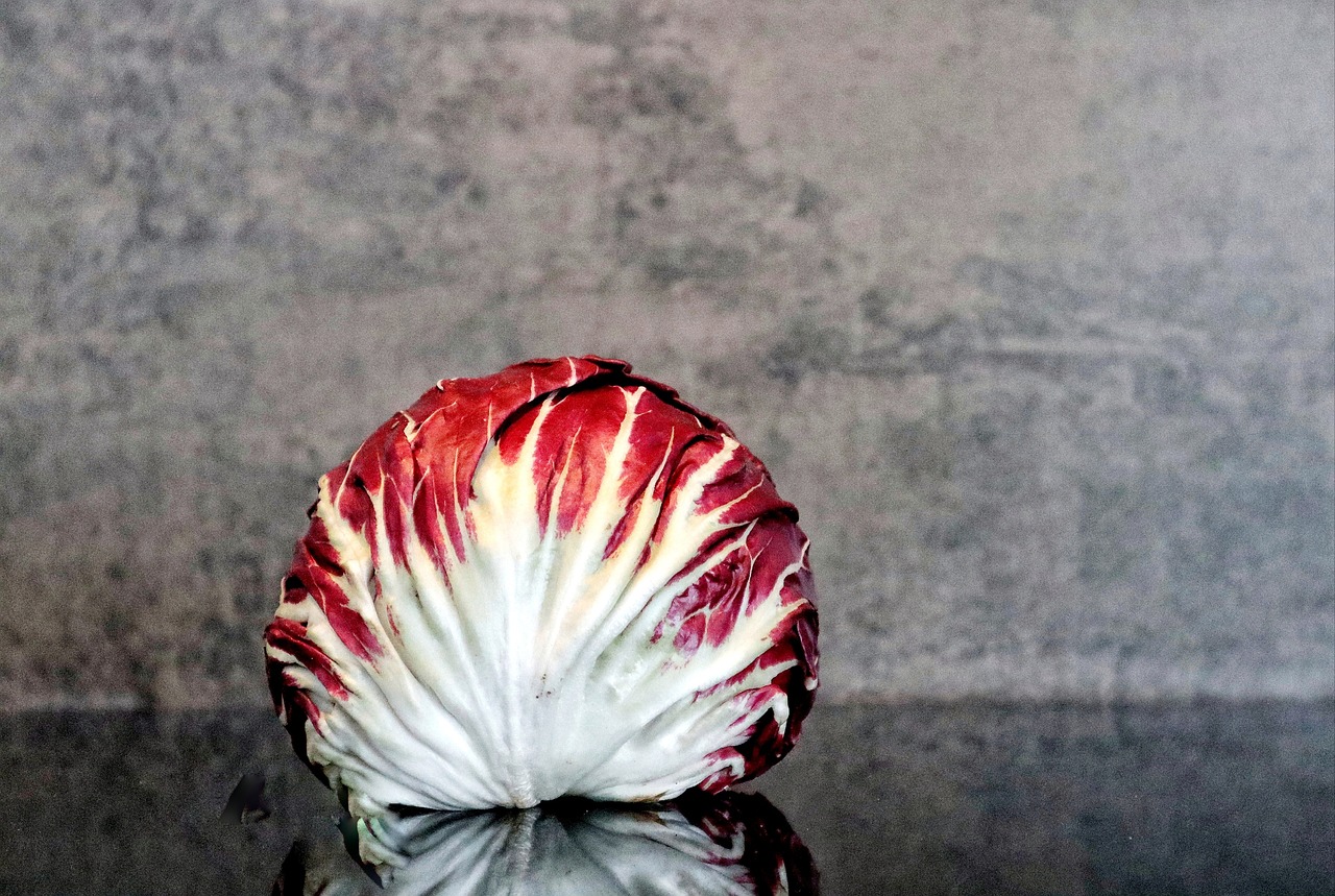 Salad, radicchio, food — Top-Rated Rehabilitation Centers for Addiction Treatment in Huntington Beach, CA