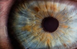 Close-up of a human eye showing the iris and pupil clearly.